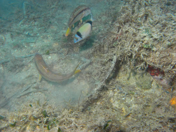 M0010772