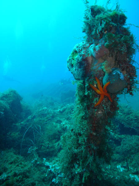 M0010782