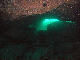 M0010662