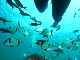 M0010672