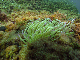 M0010675