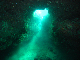 M0010684