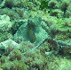 M0010704
