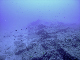 M0010739