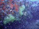M0010741