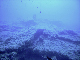 M0010744