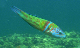 M0010750