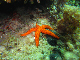 M0010758