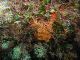 M0010760