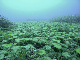 M0010769