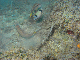 M0010772