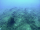 M0010788