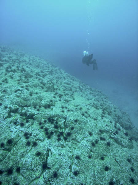 M0010818