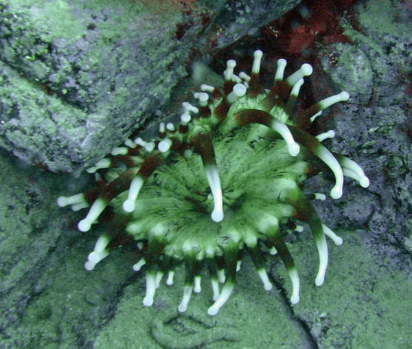 M0010823
