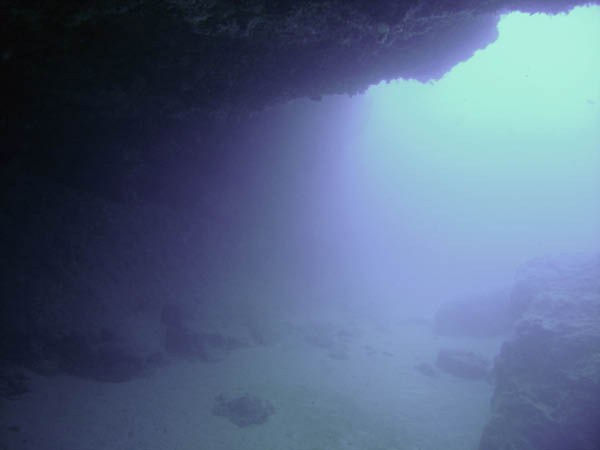 M0010848