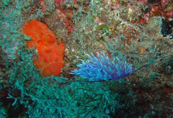 M0010851