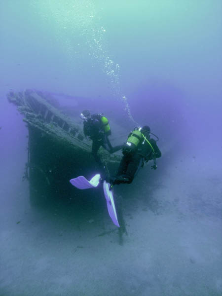 M0010856