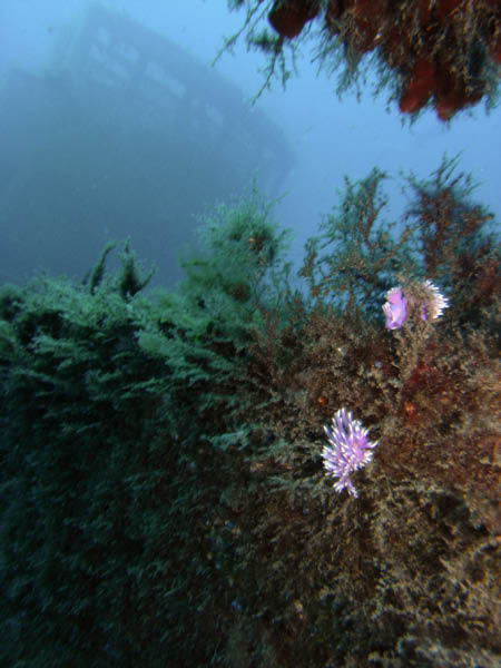 M0010881