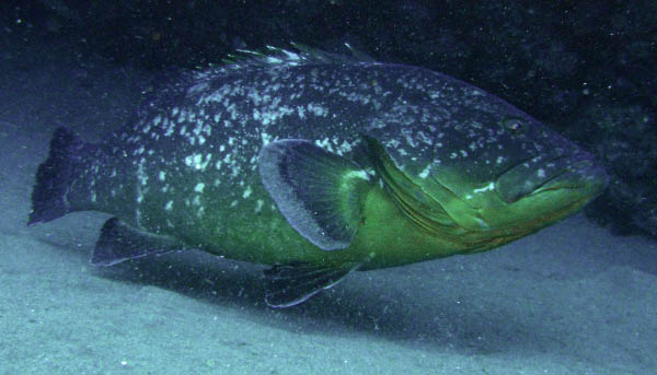 M0010895