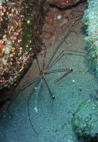 M0010900