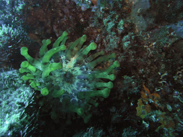 M0010911