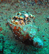 M0010802