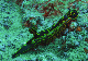 M0010804