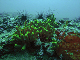 M0010808