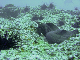 M0010814
