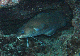M0010821