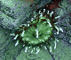 M0010823