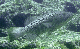 M0010833a