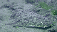 M0010853