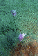 M0010854