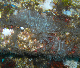 M0010877