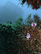 M0010881