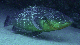 M0010895