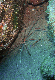 M0010900