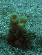 M0010923