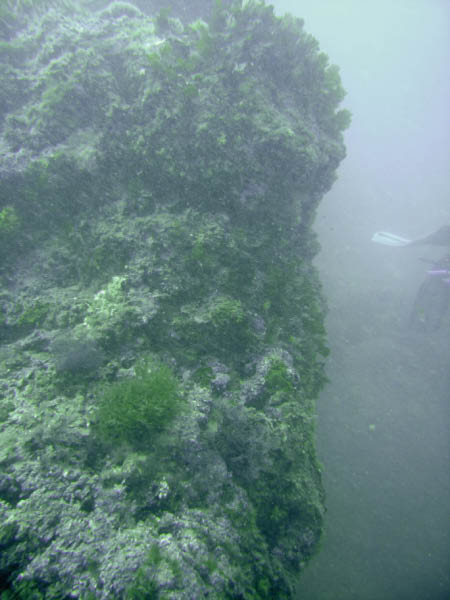 M0010933