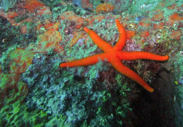 M0010937