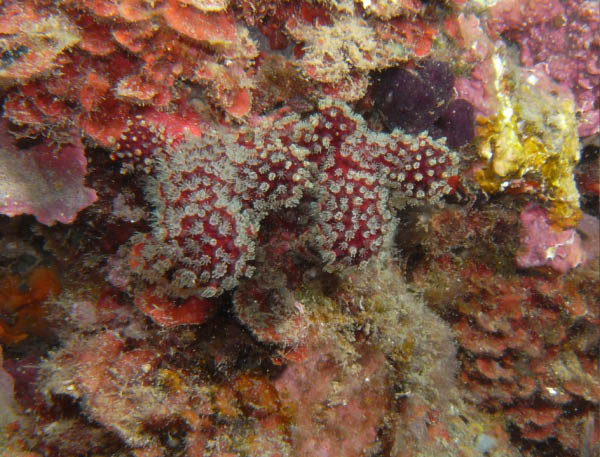 M0010941a