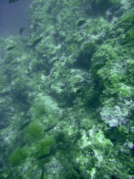 M0010942