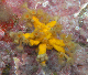 M0010931a