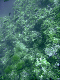 M0010942