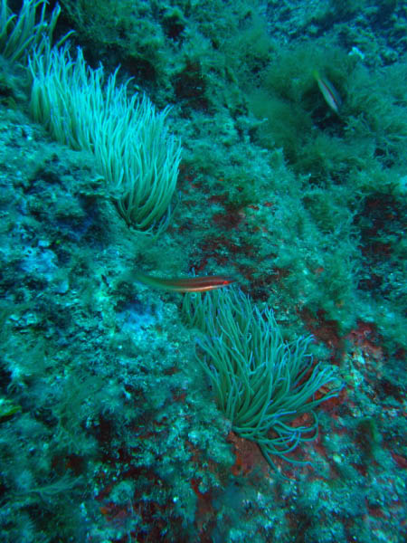 M0010952