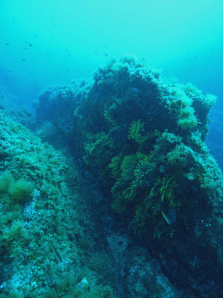 M0010954