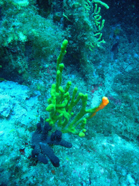 M0010958