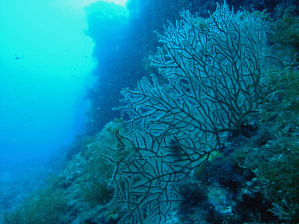 M0010967
