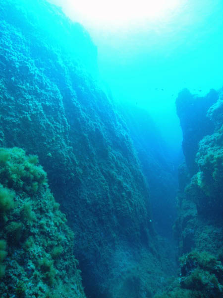 M0010978